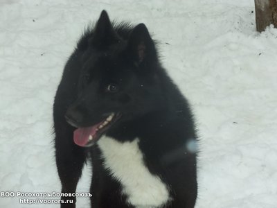 100_2072.JPG
