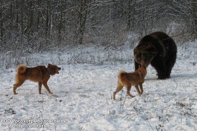 Вест и Плута.jpg