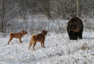 Вест и Плута (2).jpg