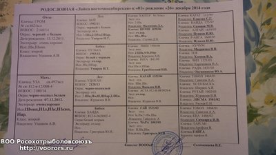 20150206_004223.jpg