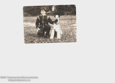C__Documents and Settings_Admin_Рабочий стол_Фоткии_Щемелинский Андрей 13 лет, эрдель Дан-Лейчи..jpg