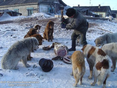 DSC00495 (2).jpg