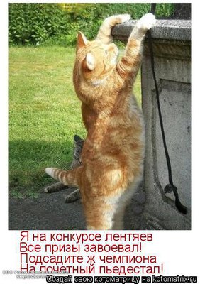 чем.jpg