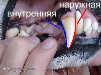 режущие кромки1.JPG