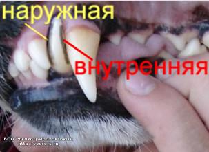 режущие кромки2.JPG
