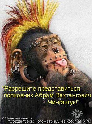 абрам.jpg