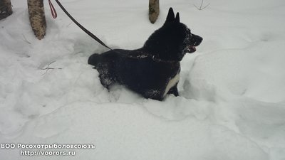 20150208_154529.jpg
