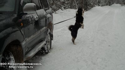 20150208_145807.jpg