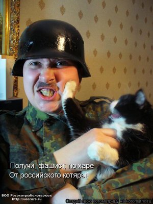 фаш.jpg