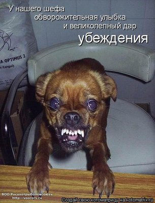 шеф.jpg