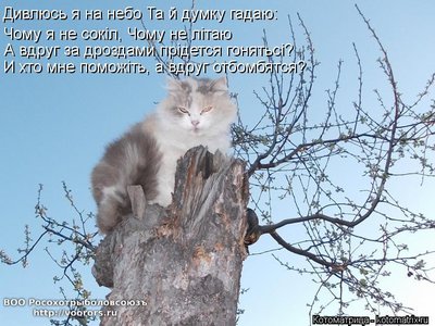 бом1.jpg