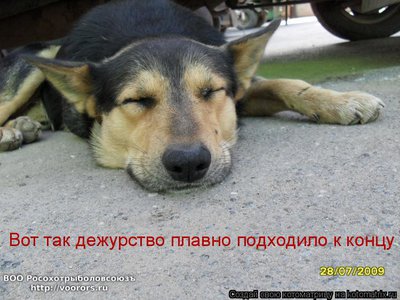 345903.jpg