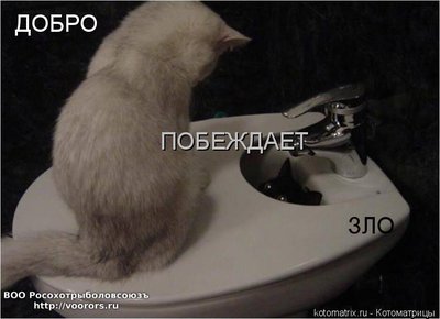 доб.jpg