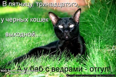 кол1.jpg