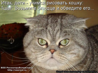рис.jpg