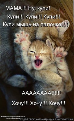 хочу.jpg