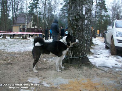 УндусБайанай (3).JPG