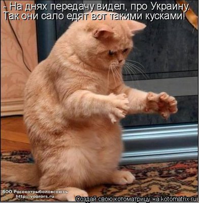 сало.jpg