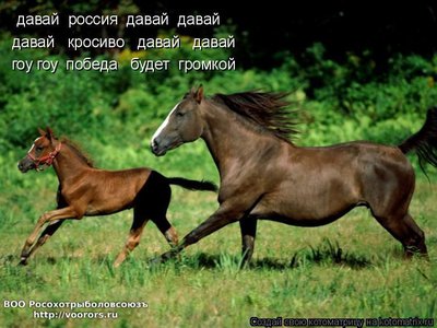поб.jpg