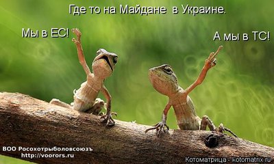 май.jpg