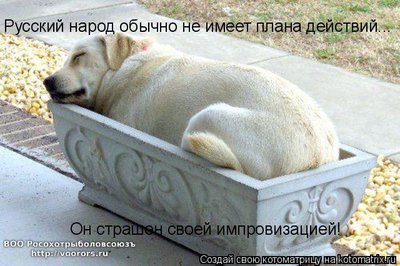 нар.jpg