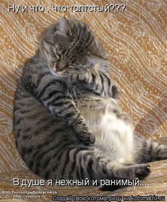 тол.jpg