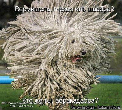 аб.jpg