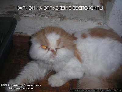фар.jpg