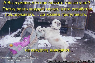 уч.jpg