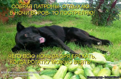 пат.jpg