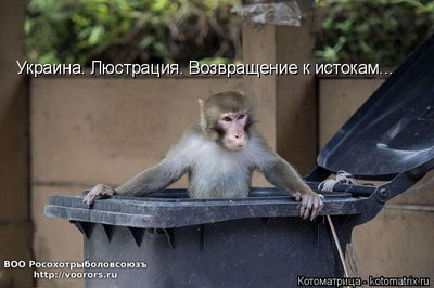 люс.jpg