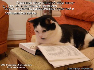 теор.jpg