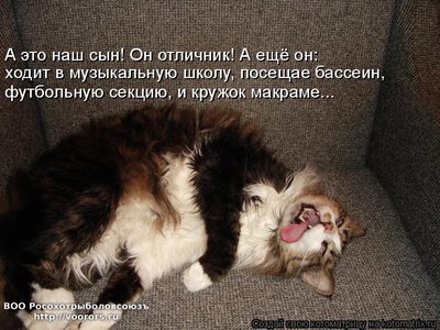 наш.jpg
