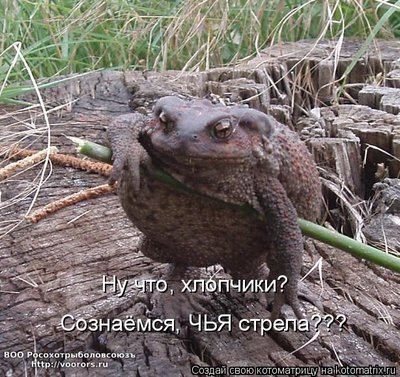 стрел.jpg