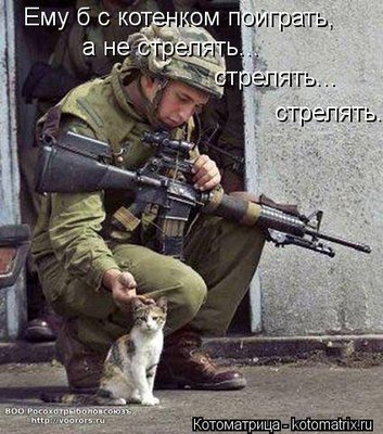 кот3.jpg