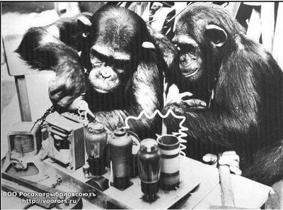 Monkeyaudio.jpg
