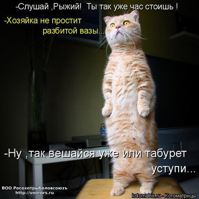 веш.jpg