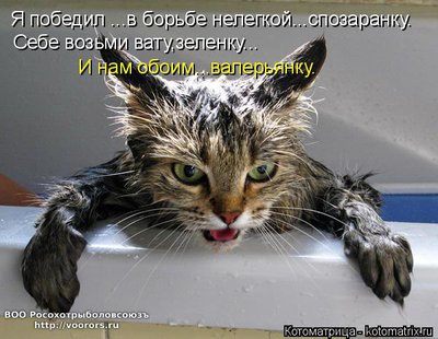 поб.jpg