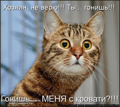 гон.jpg