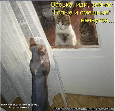 гол1.jpg