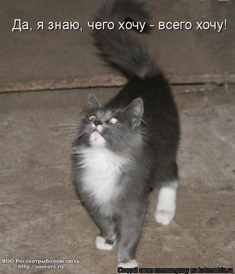 хочу.jpg