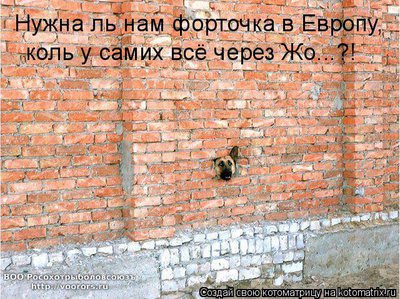 окно.jpg