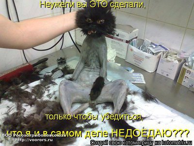 нед2.jpg