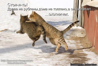 др.jpg