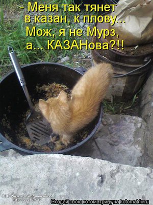 каз.jpg