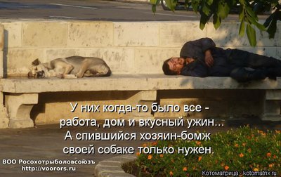 kotomatritsa_k.jpg