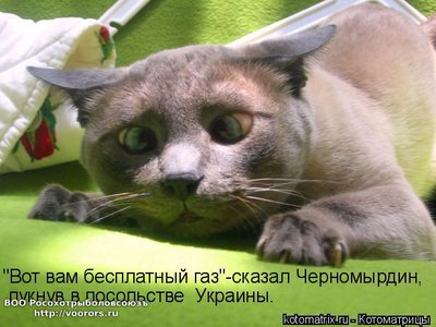 пук.jpg