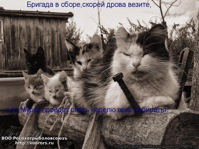 др.jpg
