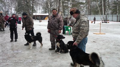 20150228_171453.jpg
