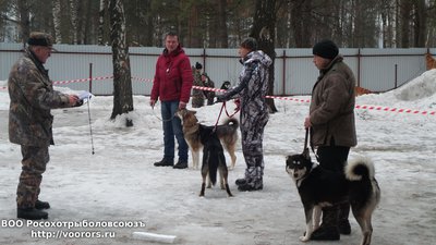 20150228_161905.jpg